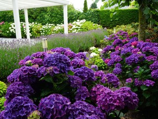 Casa per le vacanze Noordwijk Registrazione all'aperto 3