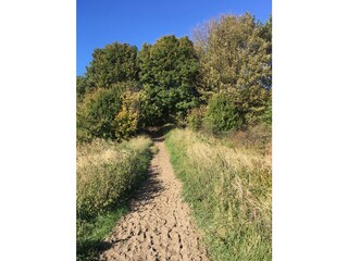 Vakantiehuis Noordwijk Omgeving 21