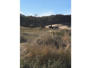 Vakantiehuis Noordwijk Omgeving 23