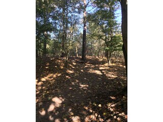 Holiday house Noordwijk Environment 22