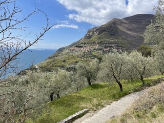Appartement de vacances Tignale Environnement 20