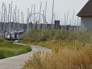 Hafen