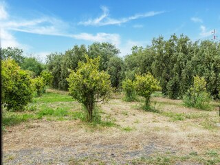 Casa de vacaciones Agnone Bagni Entorno 35