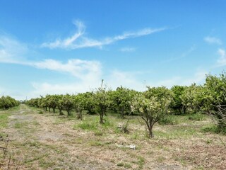 Vakantiehuis Agnone Bagni Omgeving 36