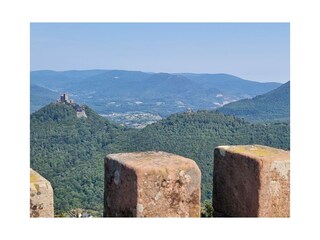 Burg Trifels