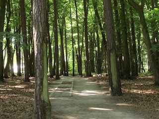 Weg zum Strand (5 min)