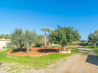 Villa Santanyi Buitenaudio-opname 12