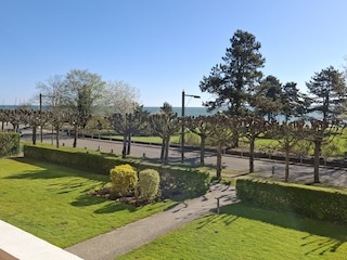 Grünanlage vor dem Haus