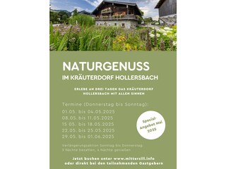 Appartamento per vacanze Hollersbach im Pinzgau Ambiente 21
