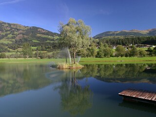 Vakantieappartement Hollersbach im Pinzgau Omgeving 18