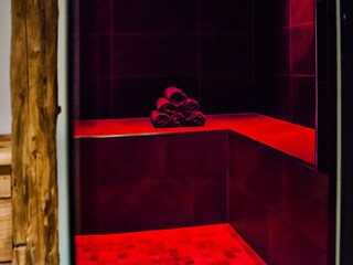 Appartamento per vacanze Hollersbach im Pinzgau Caratteristiche 15