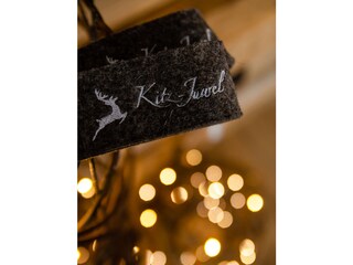 Appartamento per vacanze Hollersbach im Pinzgau Caratteristiche 16