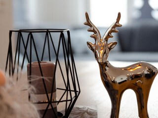 Appartamento per vacanze Hollersbach im Pinzgau Caratteristiche 17