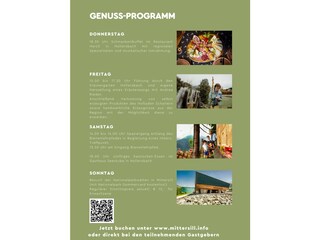 Appartamento per vacanze Hollersbach im Pinzgau Ambiente 22