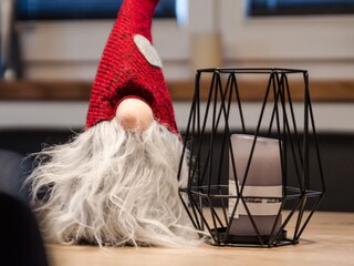 Appartamento per vacanze Hollersbach im Pinzgau Caratteristiche 16