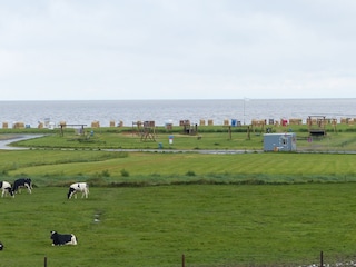 Ferienhaus Dorum-Neufeld Umgebung 15