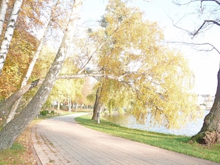 Müritzradweg im Herbst