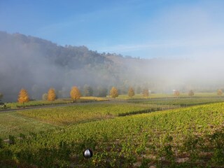 Appartamento per vacanze Minheim Ambiente 20