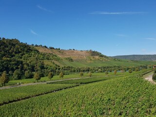 Appartamento per vacanze Minheim Registrazione all'aperto 8