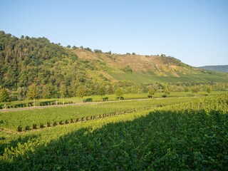 Appartamento per vacanze Minheim Ambiente 16