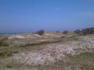 Dünenlandschaft in der Kernzone