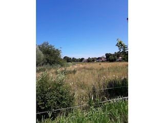 Blick über die Stems