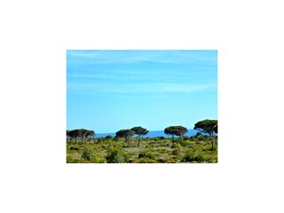 Vakantiehuis Conil de la Frontera Omgeving 39