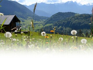 Holiday house Unken Environment 21