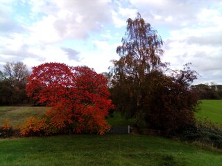 Holiday apartment Drochtersen / Krautsand Outdoor Recording 7