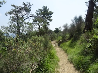 Wandergebiet oberhalb des Ferienhauses in Cipressa