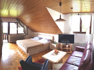 Wohnschlafzimmer