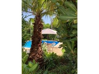 Casa per le vacanze Benicarló Registrazione all'aperto 16