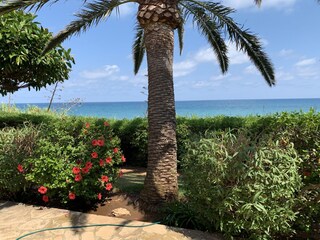 Casa per le vacanze Benicarló Registrazione all'aperto 13