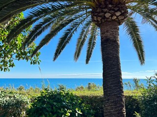 Casa per le vacanze Benicarló Registrazione all'aperto 12