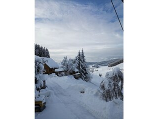 Winter im Haldenhäusle