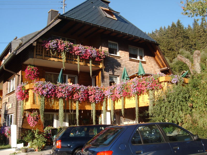 Ferienwohnungen & Ferienhäuser in TitiseeNeustadt mieten Urlaub in