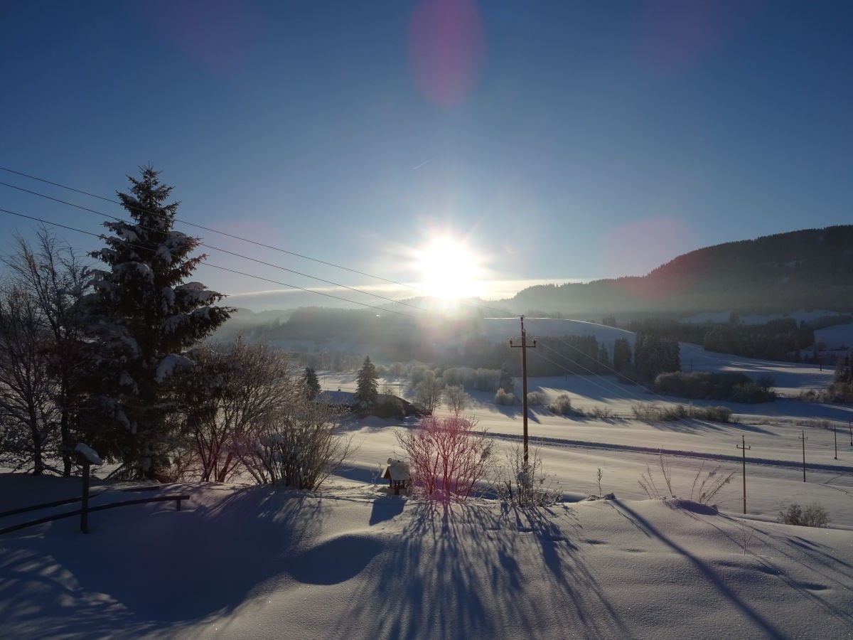 Blick vom Balkon