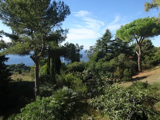 Garten und Meeresblick