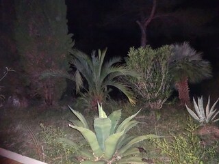 Appartamento per vacanze Cipressa Registrazione all'aperto 8