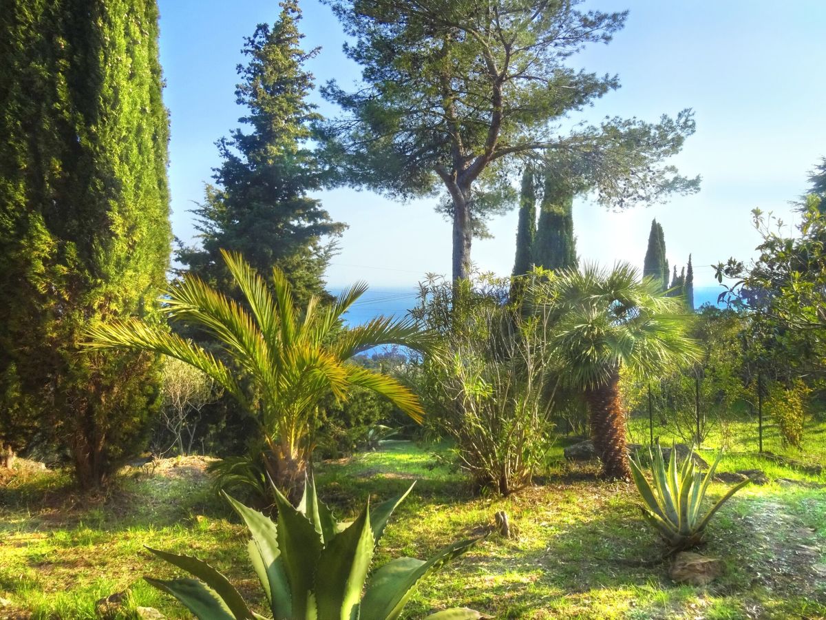 Traumhaft mediterraner Garten mit Meerblick!