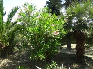 Appartamento per vacanze Cipressa Registrazione all'aperto 14