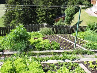 Holiday apartment St. Martin in Thurn Outdoor Recording 7