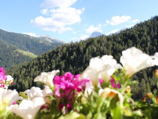 Appartamento per vacanze St. Martin in Thurn Ambiente 16