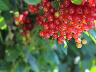 Appartamento per vacanze St. Martin in Thurn Ambiente 17