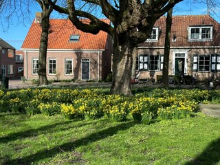 Vakantiehuis Grijpskerke Buitenaudio-opname 3