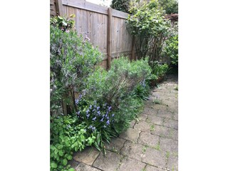 Casa per le vacanze Grijpskerke Registrazione all'aperto 5