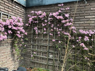 Casa per le vacanze Grijpskerke Registrazione all'aperto 6