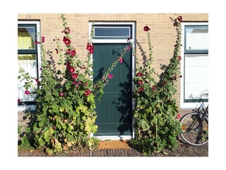 Vakantiehuis Grijpskerke Buitenaudio-opname 4