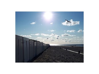 Casa per le vacanze Grijpskerke Ambiente 15