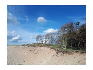 Casa per le vacanze Grijpskerke Ambiente 17